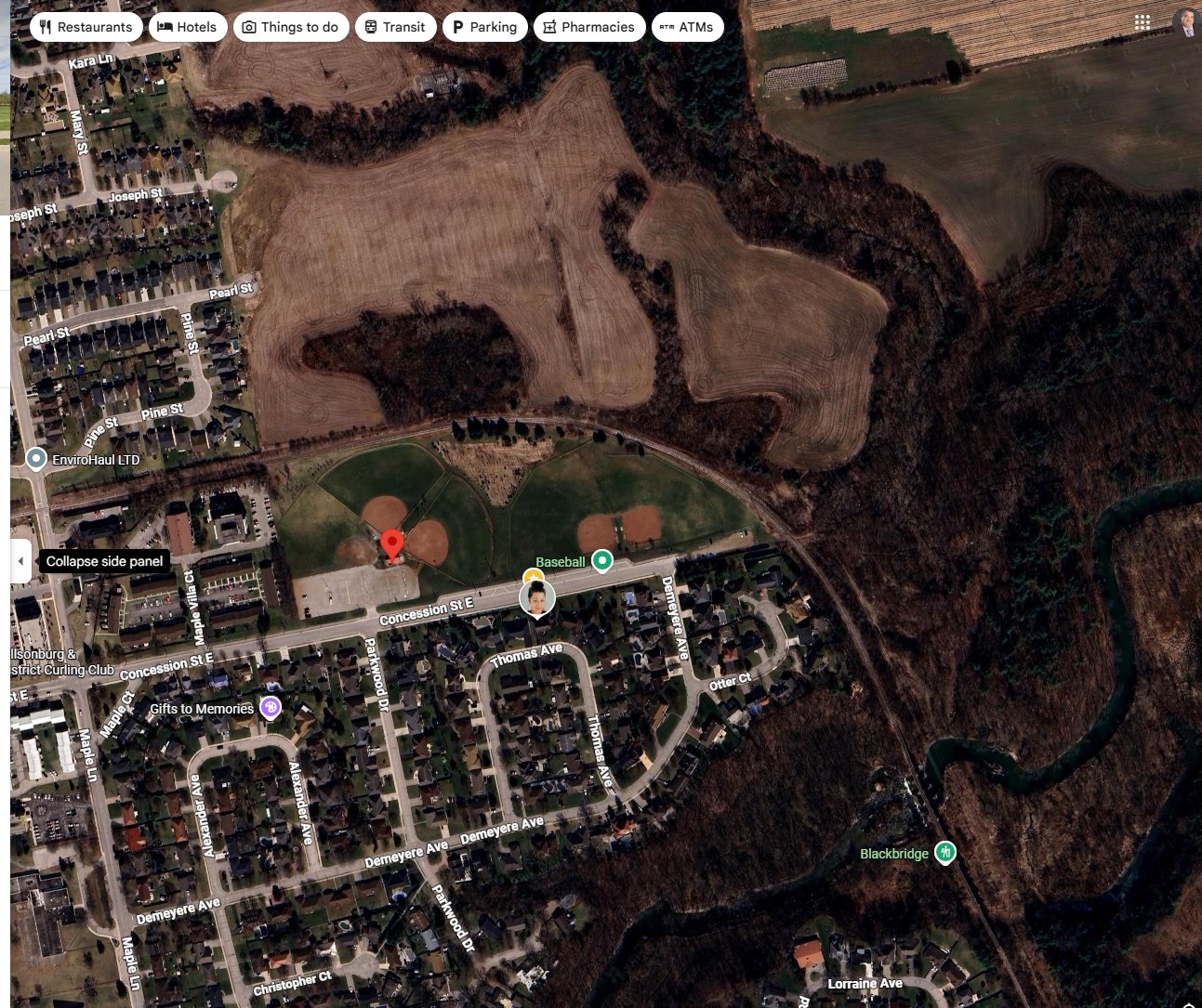 Aerial view of Annandale Ball Diamonds and surrounding neighbourhood